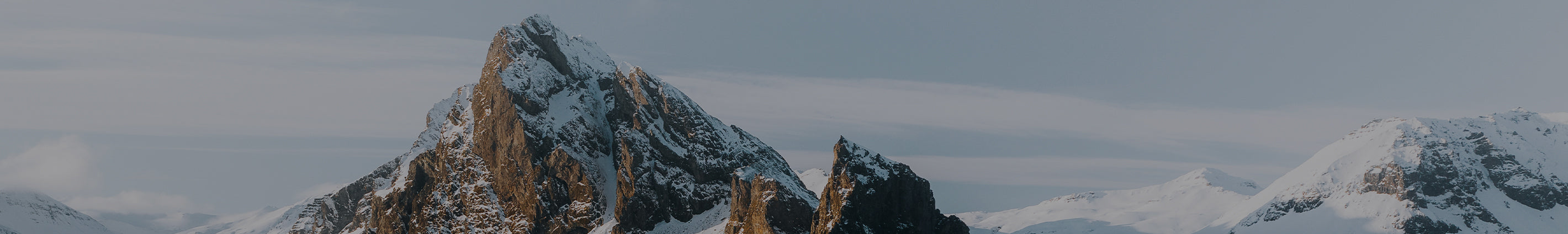 collection-banner-image